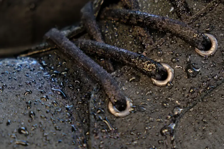 Boot Care 101: Drying, Waterproofing, and Choosing the Right Treatment