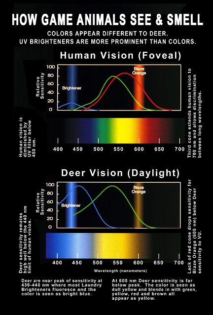 game animal vision scale